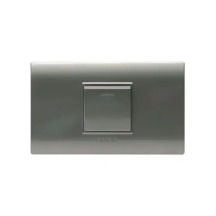 Apagador sencillo plateado