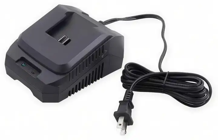 Cargador de batería 20 V
